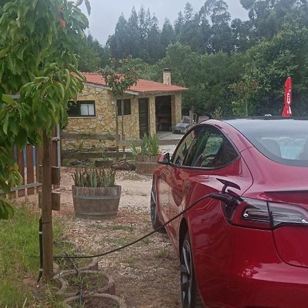 Villa Quintinha Do Casal Ruivo Figueiro Dos Vinhos Exterior foto